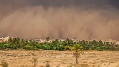 how-desert-dust-and-monsoon-residue-damage-outdoor-surfaces